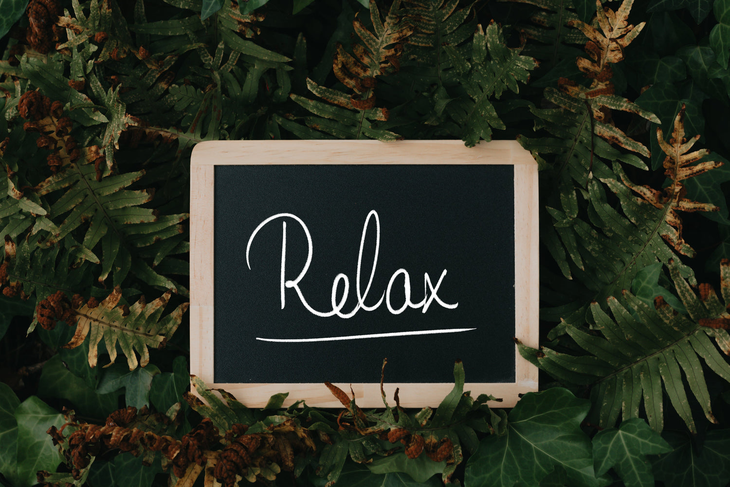 Relax
